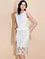  TS Ruffle Waist Cute Sheath Dress