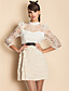  TS Puff Sleeve Lace Embroidery Layered Ruffle Dress