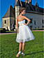  Ball Gown Sweetheart Knee-length Tulle Wedding Dress