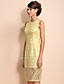  TS Simplicity Gold Lace Sleeveless Sheath Dress