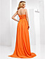  Chiffon Sheath/Column V-neck Sweep/Brush Train Evening Dress inspired by Kyra Sedgwick at Golden Globe Award