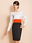 TS Simplicity Contrast Color Long Sleeve Slim Sheath Dress