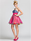  A-line|Princess Strapless Short/Mini  Satin|Tulle Evening Dress
