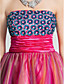  A-line|Princess Strapless Short/Mini  Satin|Tulle Evening Dress