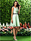  CASSIE - Bruidsmeisjesjurk van Chiffon
