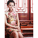Stehkragen ärmellose knielangen Seide Cheongsam / Qipao / chinesisch Kleid (hgqp174)