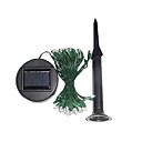 luce solare paesaggistico cortile (tra031)