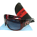 gafas de sol de moda + paño de limpieza libre y estuche duro - marco de acedera con el diseño de perro pirata dsco4202-0479-11.13-69