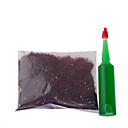 Latern Pepper Desktop Growing Kit (Complete with Seeds)