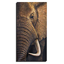 Hand Made Abstract Animal Painting (0695 -AN-04)