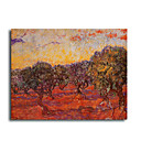 Stretched Canvas Handmade The Olive Grove,c.1889 Painting by Vincent Van Gogh 0192-YCF103198