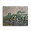 Stretched Canvas Handmade The Olive Pickers,Saint-Remy,c.1889 Painting by Vincent Van Gogh  0192-YCF103199