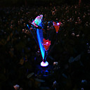 Solar LED Flower Light (1049-CIS-28064)
