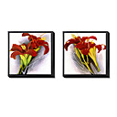 Floral Framed Canvas Print