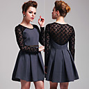 TS Lace and Jean Pleat Dress