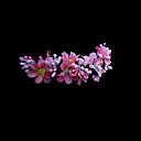 Floral Design Headbangs