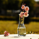 Chic Clear Glass Vase
