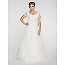 A-line V-neck Chapel Train Organza Plus Size Wedding Dress