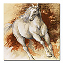 caballo de imprimir los animales lienzo de arte con el marco de tendido