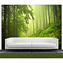 Green Trees Nature Mural