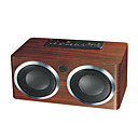 PN-06 edle Holzbox, Doppelhorn portable Karte Lautsprecher