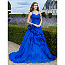 Ball Gown V-neck Court Train Organza Evening Dress