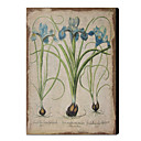 Stampato Vintage Linen Arte Floreale 1212-0139