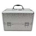 Bright Sliver 3 Trays Jewelry Comestic Organizing Makeup Train Case Aluminum Box