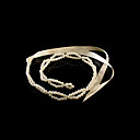 Delicate Pearl With Satin Party/Fashion Belt