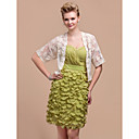 Beautiful Lace Half-Sleeve Casual/Party Jacket