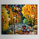 Hand Painted Oil Painting Landschap van 1303-LS0240