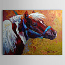 Pintado a mano de pintura de aceite Animal Caballo 1304-AN0078