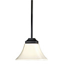60W Transitional Pendant Light with Glass Shade in Urban Style