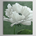 Hand Painted Oil Painting Floral 1305-FL0124