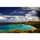 Printed Art Landscape Trunk Bay by J.D. McFarlan