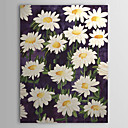 Hand Painted Oil Painting Floral 1305-FL0129