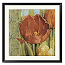 Framed Art Print Floral Tulip Paisley I by Lisa Audit