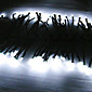 Op zonne-energie 12M 100-led wit licht knipperend String Lamp